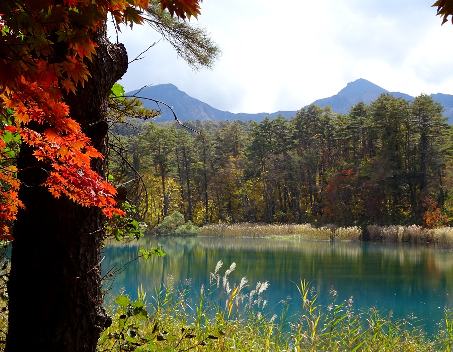 るり沼越しに見る磐梯山