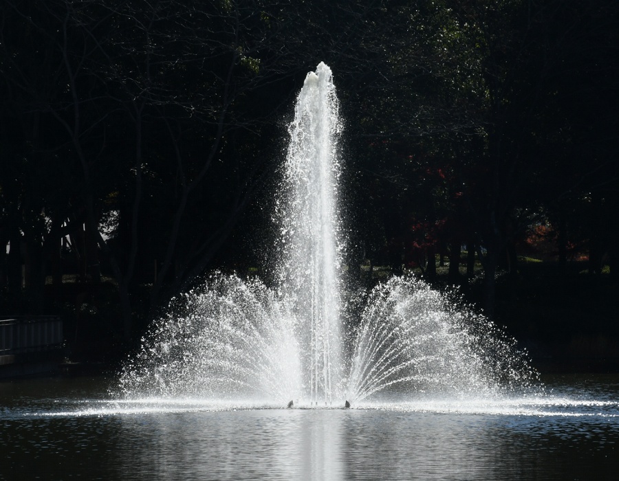 中央公園の池の噴水