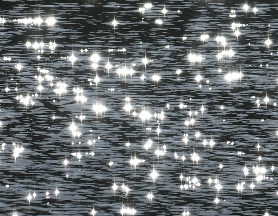 池の水面の光