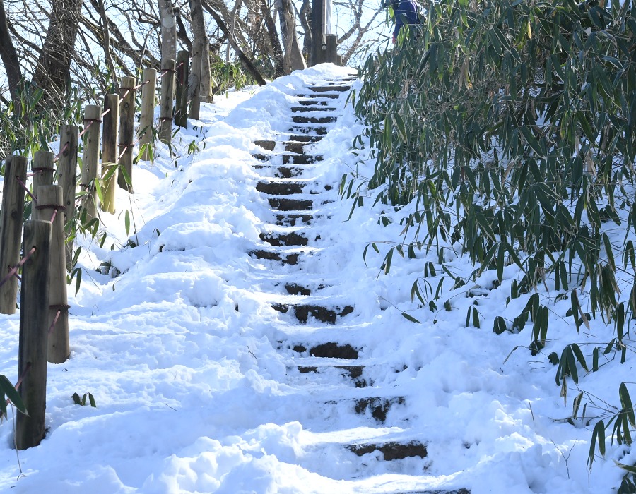 筑波山頂上付近の雪道