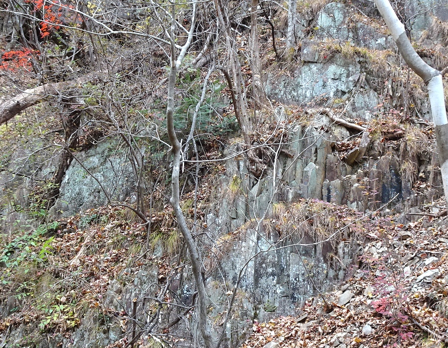 ひん岩の柱状節理