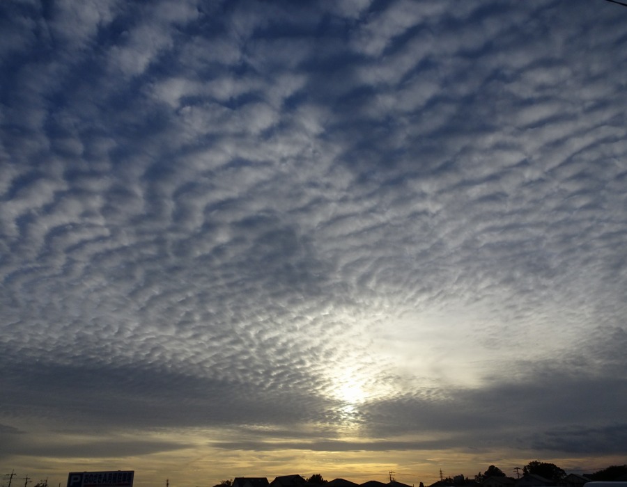 高積雲