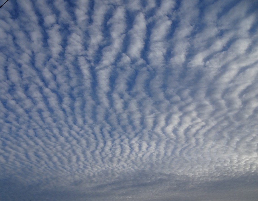 高積雲