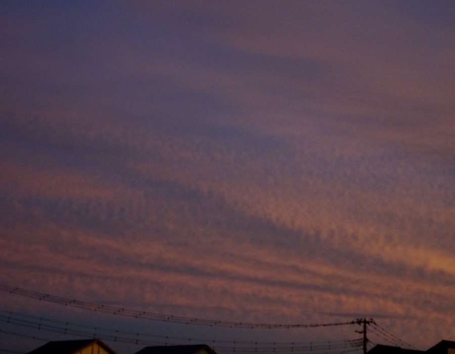 夕方の空