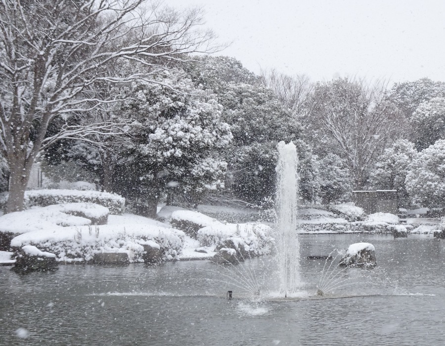 雪と噴水