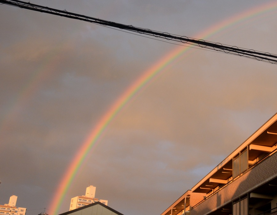 雨上がりの空にかかった虹