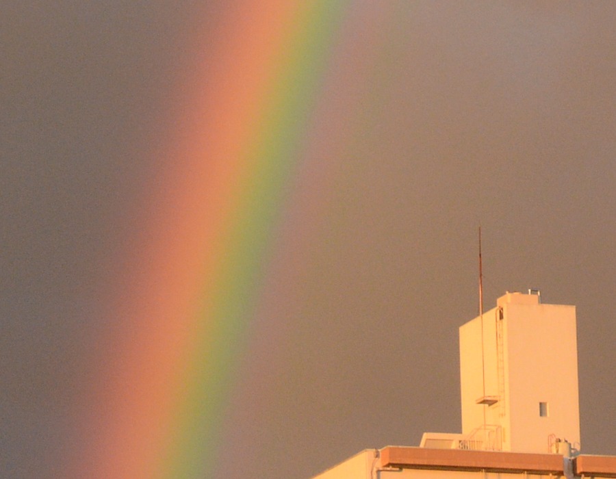 雨上がりの空にかかった虹